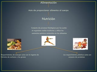 Alimentación
Acto de proporcionar alimentos al cuerpo
Nutrición
Conjunto de procesos fisiológicos por los cuales
el organismo recibe trasforma y utiliza las
sustancias químicas contenidas en los alimentos
Requerimientos de energía como son la ingesta de Los requerimientos plásticos como son
hidratos de carbono y las grasas consumo de proteínas
 