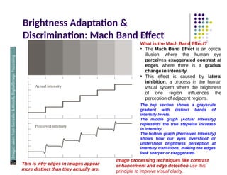Brightness Adaptation &
Discrimination: Mach Band Effect
Images
taken
from
Gonzalez
&
Woods,
Digital
Image
Processing
(2002)
What is the Mach Band Effect?
• The Mach Band Effect is an optical
illusion where the human eye
perceives exaggerated contrast at
edges where there is a gradual
change in intensity.
• This effect is caused by lateral
inhibition, a process in the human
visual system where the brightness
of one region influences the
perception of adjacent regions.
The top section shows a grayscale
gradient with distinct bands of
intensity levels.
The middle graph (Actual Intensity)
represents the true stepwise increase
in intensity.
The bottom graph (Perceived Intensity)
shows how our eyes overshoot or
undershoot brightness perception at
intensity transitions, making the edges
look sharper or exaggerated.
This is why edges in images appear
more distinct than they actually are.
Image processing techniques like contrast
enhancement and edge detection use this
principle to improve visual clarity.
 