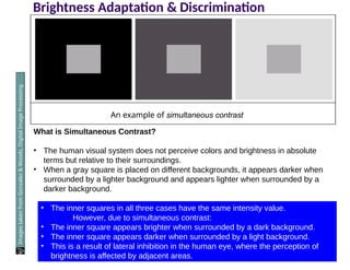 Brightness Adaptation & Discrimination
An example of simultaneous contrast
Images
taken
from
Gonzalez
&
Woods,
Digital
Image
Processing
(2002)
What is Simultaneous Contrast?
• The human visual system does not perceive colors and brightness in absolute
terms but relative to their surroundings.
• When a gray square is placed on different backgrounds, it appears darker when
surrounded by a lighter background and appears lighter when surrounded by a
darker background.
• The inner squares in all three cases have the same intensity value.
However, due to simultaneous contrast:
• The inner square appears brighter when surrounded by a dark background.
• The inner square appears darker when surrounded by a light background.
• This is a result of lateral inhibition in the human eye, where the perception of
brightness is affected by adjacent areas.
 