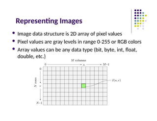 Representing Images
 Image data structure is 2D array of pixel values
 Pixel values are gray levels in range 0 255
‐ or RGB colors
 Array values can be any data type (bit, byte, int, float,
double, etc.)
 