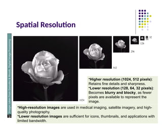 Spatial Resolution
Images
taken
from
Gonzalez
&
Woods,
Digital
Image
Processing
(2002)
•Higher resolution (1024, 512 pixels):
Retains fine details and sharpness.
•Lower resolution (128, 64, 32 pixels):
Becomes blurry and blocky, as fewer
pixels are available to represent the
image.
•High-resolution images are used in medical imaging, satellite imagery, and high-
quality photography.
•Lower resolution images are sufficient for icons, thumbnails, and applications with
limited bandwidth.
 