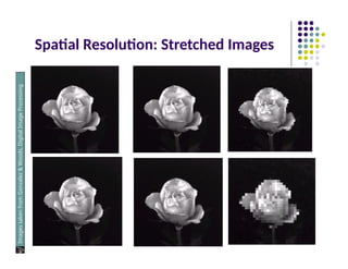 Spatial Resolution: Stretched Images
Images
taken
from
Gonzalez
&
Woods,
Digital
Image
Processing
(2002)
 