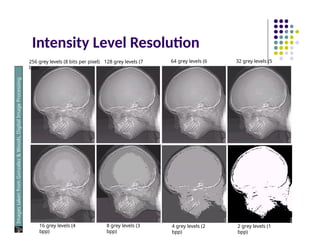 Intensity Level Resolution
256 grey levels (8 bits per pixel) 128 grey levels (7
bpp)
64 grey levels (6
bpp)
32 grey levels (5
bpp)
16 grey levels (4
bpp)
8 grey levels (3
bpp)
4 grey levels (2
bpp)
2 grey levels (1
bpp)
Images
taken
from
Gonzalez
&
Woods,
Digital
Image
Processing
(2002)
 