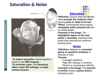 Saturation & Noise
Images
taken
from
Gonzalez
&
Woods,
Digital
Image
Processing
(2002)
Saturation
•Definition: Occurs when an intensity
value exceeds the maximum limit,
causing color or detail to be lost.
•Effect: Overexposed areas appear
completely white (washed out) with
no visible details.
•Example in the Image: The
highlighted region on the rose
petals is saturated, meaning those
pixels have reached the maximum
intensity level.
Noise
•Definition: Appears as unwanted
grainy or speckled variations in
intensity or color.
•Causes:
•Low-light conditions.
•High ISO settings in cameras.
•Sensor or compression artifacts.
•Example in the Image: The zoomed-
in section shows a grainy texture,
indicating noise.
•To reduce saturation: Adjust exposure
levels or use HDR imaging.
•To minimize noise: Use denoising
filters, lower ISO settings, or larger
camera sensors.
 