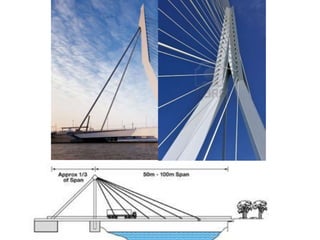 Jheel bhandari erasmus bridge