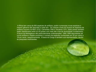 A África tem cerca de 950 espécies de anfíbios, porém numerosas novas espécies e
mesmo gêneros são descritas a cada ano. Os maiores níveis de riqueza de espécies de
anfíbios ocorrem na RDC (210), Camarões (189) e Tanzânia (157), estes países também
estão classificados entre os 20 países com mais alto nível de diversidade e endemismo.
A fauna de Madagáscar são particularmente undersampled: 1990-1999 descobertas de
novos anfíbios e répteis aumentou o número de espécies conhecidas por 25 por cento e
18 por cento, respectivamente. A bacia do Congo é também sub-representados, devido
às pesquisas insuficientes.
 