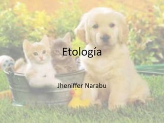 Etología

Jheniffer Narabu
 