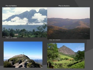 Pico da Neblina  Pico  da Bandeira Pico  31 de Março  Pico  do Cruzeiro  
