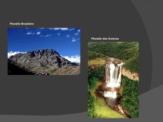 Planalto Brasileiro  Planalto das Guianas 