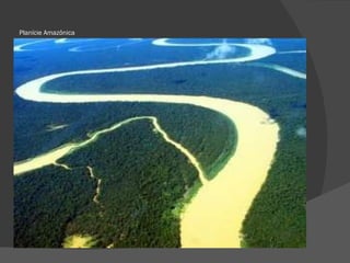 Planície Amazônica 