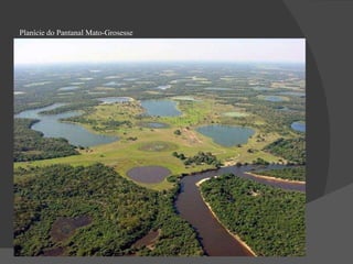 Planície do Pantanal Mato-Grosesse 