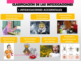 Picaduras y
mordeduras de
animales
Intoxicaciones
por plantas
Intoxicaciones
ambientales
Intoxicaciones
alimentarias
Intoxicaciones
domésticas
Intoxicaciones
profesionales
Intoxicaciones por
medicamentos
1.INTOXICACIONES ACCIDENTALES
 