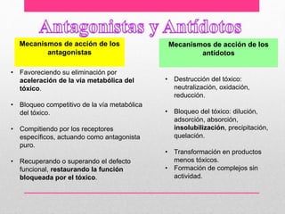 • Favoreciendo su eliminación por
aceleración de la vía metabólica del
tóxico.
• Bloqueo competitivo de la vía metabólica
del tóxico.
• Compitiendo por los receptores
específicos, actuando como antagonista
puro.
• Recuperando o superando el defecto
funcional, restaurando la función
bloqueada por el tóxico.
Mecanismos de acción de los
antagonistas
Mecanismos de acción de los
antídotos
• Destrucción del tóxico:
neutralización, oxidación,
reducción.
• Bloqueo del tóxico: dilución,
adsorción, absorción,
insolubilización, precipitación,
quelación.
• Transformación en productos
menos tóxicos.
• Formación de complejos sin
actividad.
 