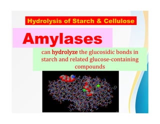 Hydrolysis of Starch & Cellulose
Amylases
can hydrolyze the glucosidic bonds in
starch and related glucose-containing
compounds
 