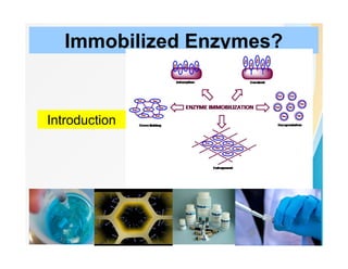 Immobilized Enzymes?
Introduction
 
