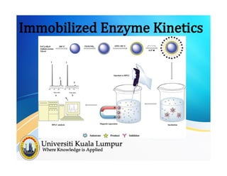Immobilized Enzyme Kinetics
 