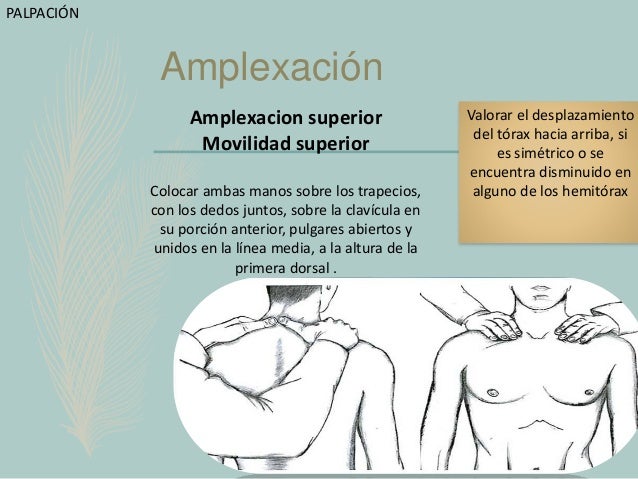 Semiología del tórax /Exploración física