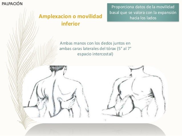 Semiología del tórax /Exploración física