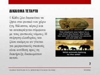 ΔΙΚΑΙΩΜΑ ΤΕΤΑΡΤΟ
◊ Κάθε ζώο δικαιούται να
ζήσει στο φυσικό του χώρο
(γη, θάλασσα, αέρας) και
να αναπαράγεται σύμφωνα
με τους φυσικούς νόμους. Η
στέρηση ελευθερίας του
ζώου ακόμη κι αν γίνεται
για μορφωτικούς σκοπούς
είναι αντίθετη προς τη
διακήρυξη δικαιωμάτων
αυτού.
25/1/2021
ΜΑΡΙΟΣ ΜΑΥΡΙΔΗΣ Ε1 2ο ΔΗΜΟΤΙΚΟ ΣΧΟΛΕΙΟ ΞΑΝΘΗΣ
7
 