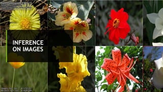 30
INFERENCE
ON IMAGES
 