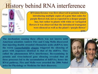 History behind RNA interference
RNAinterference was first observed in petunia where
introducing multiple copies of a gene that codes for
purple flowers led, not as expected to a deeper purple
hue, but rather to plants with white or variegated
flowers it was observed that the introduced transgenes
were silenced as well as the plant’s ‘purple-flower’
gene.
The mechanism causing these effects was not known until
American scientists Andrew Fire and Craig Mello discovered
that injecting double stranded ribonucleic acids (dsRNA) into
the worm Caenorhabditis elegans triggered the silencing of
genes with sequences identical to that of the dsRNA. They
called the phenomenon RNA interference. Re-examining in
petunia and virus-induced gene silencing revealed that all
these processes led to the accumulation of dsRNAs, hence the
RNAi pathway. Fire and Mello were awarded the 2006 Nobel
price for Physiology or Medicine for their discovery.
 