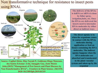 Non transformative technique for resistance to insect pests
using RNAi.
The delivery of the RNAs
ie dsRNA or siRNA is done
by foliar spray,
irrigation,baits, etc. Once
the RNAs are delivered the
insects need to internalze
RNAs molecules by either
direct or indirect ways.
The direct uptake is by
when the organisms comes
in contact with the RNAs
molecules during
application or feed on
tissues containing the RNA
molecules. The indirect
uptake happens when the
RNA molecules are
absorbed and translocated
in the plant vascular
system and taken up by the
organism.
Source- Cagliari Deise, Dias Naymã P., Galdeano Diogo Manzano,
dos Santos Ericmar Ávila, Smagghe Guy, Zotti Moisés
João.(2019).”Management of Pest Insects and Plant Diseases by
Non-Transformative RNAi”., Frontiers in Plant Science .10(1319)
DOI=10.3389/fpls.2019.01319
 