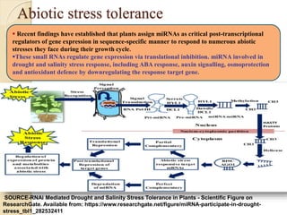 Abiotic stress tolerance
 Recent findings have established that plants assign miRNAs as critical post-transcriptional
regulators of gene expression in sequence-specific manner to respond to numerous abiotic
stresses they face during their growth cycle.
These small RNAs regulate gene expression via translational inhibition. miRNA involved in
drought and salinity stress response, including ABA response, auxin signalling, osmoprotection
and antioxidant defence by downregulating the response target gene.
SOURCE-RNAi Mediated Drought and Salinity Stress Tolerance in Plants - Scientific Figure on
ResearchGate. Available from: https://www.researchgate.net/figure/miRNA-participate-in-drought-
stress_tbl1_282532411
 
