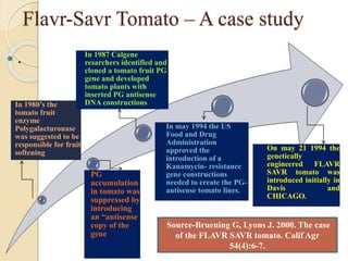 Flavr-Savr Tomato – A case study
 .
In 1980’s the
tomato fruit
enzyme
Polygalacturonase
was suggested to be
responsible for fruit
softening
PG
accumulation
in tomato was
suppressed by
introducing
an “antisense
copy of the
gene
In 1987 Calgene
resarchers identified and
cloned a tomato fruit PG
gene and developed
tomato plants with
inserted PG antisense
DNA constructions
In may 1994 the US
Food and Drug
Administration
approved the
introduction of a
Kanamycin- resistance
gene constructions
needed to create the PG-
antisense tomato lines.
On may 21 1994 the
genetically
engineered FLAVR
SAVR tomato was
introduced initially in
Davis and
CHICAGO..
Source-Bruening G, Lyons J. 2000. The case
of the FLAVR SAVR tomato. Calif Agr
54(4):6-7.
 