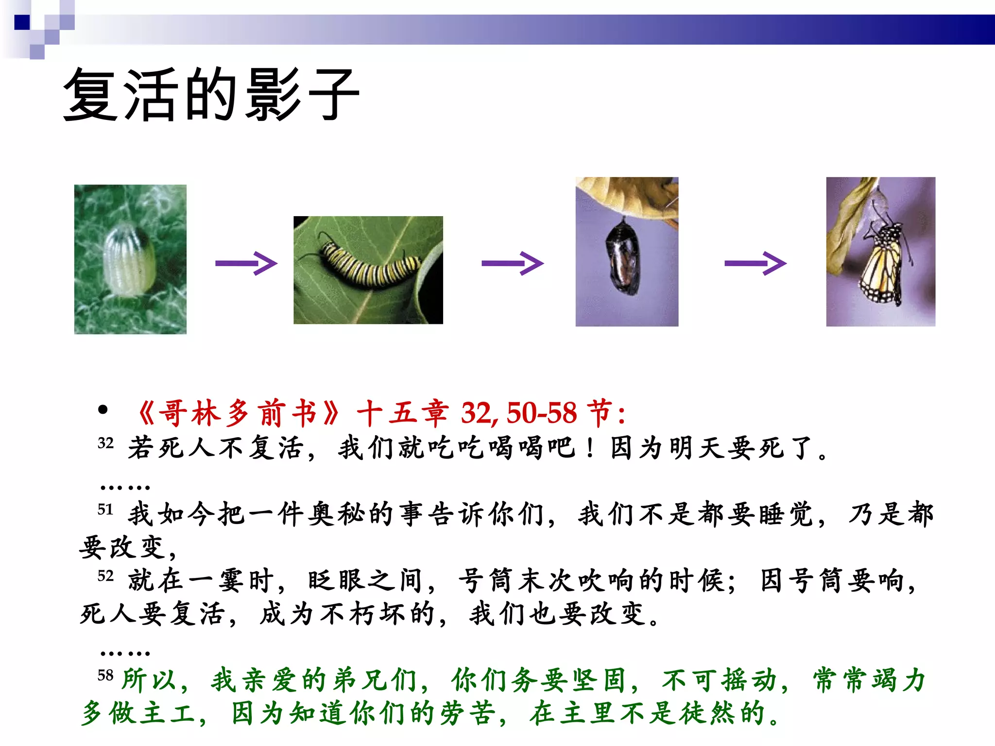 复活的影子 《哥林多前书》十五章 32, 50-58 节： 32   若死人不复活，我们就吃吃喝喝吧！因为明天要死了。 …… 51   我如今把一件奥秘的事告诉你们，我们不是都要睡觉，乃是都要改变， 52   就在一霎时，眨眼之间，号筒末次吹响的时候；因号筒要响，死人要复活，成为不朽坏的，我们也要改变。 …… 58 所以，我亲爱的弟兄们，你们务要坚固，不可摇动，常常竭力多做主工，因为知道你们的劳苦，在主里不是徒然的。 