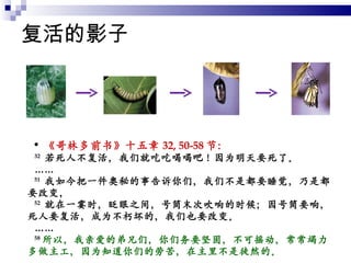 复活的影子 《哥林多前书》十五章 32, 50-58 节： 32   若死人不复活，我们就吃吃喝喝吧！因为明天要死了。 …… 51   我如今把一件奥秘的事告诉你们，我们不是都要睡觉，乃是都要改变， 52   就在一霎时，眨眼之间，号筒末次吹响的时候；因号筒要响，死人要复活，成为不朽坏的，我们也要改变。 …… 58 所以，我亲爱的弟兄们，你们务要坚固，不可摇动，常常竭力多做主工，因为知道你们的劳苦，在主里不是徒然的。 