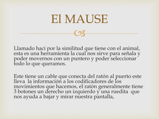 
Llamado haci por la similitud que tiene con el animal,
esta es una herramienta la cual nos sirve para señala y
poder movernos con un puntero y poder seleccionar
todo lo que queramos.
Este tiene un cable que conecta del ratón al puerto este
lleva la información a los codificadores de los
movimientos que hacemos, el ratón generalmente tiene
3 botones un derecho un izquierdo y una ruedita que
nos ayuda a bajar y mirar nuestra pantalla,
El MAUSE
 