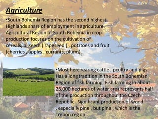 Agriculture
•South Bohemia Region has the second highest
Highlands share of employment in agriculture.
Agricultural Region of South Bohemia in crop
production focuses on the cultivation of
cereals, oilseeds ( rapeseed ) , potatoes and fruit
(cherries , apples , currants, plums).
•Most here rearing cattle , poultry and pigs.
Has a long tradition in the South Bohemian
Region of fish farming. Fish farming in about
25,000 hectares of water area represents half
of the production throughout the Czech
Republic . Significant production of wood
, especially pine , but pine , which is the
Trebon region .

 