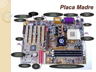 Placa Madre
                    RANUR
                                        PUERTO                   PUERTO        ZOCALO
                     A PCI
       BIOS CON                        JOYSTICKS                PARALELO         CPU
      REDSTORM
                               RANUR
    RANURA                     A AGP
     CNR


                                                                                 SW




                                                                               CONECTOR
    USB                                                                           ATX




CONECTOR
VENTILADOR




          BATERIA
                         IDE                       CONECTORES MEMORIA DDR266
 
