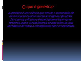 O que é genética?
 A genética é uma ciência que estuda a transmissão de
  determinadas características ao longo das gerações.
   No caso da avicultura é especialmente importante
  retermos alguns conhecimentos simples sobre as suas
leis básicas de modo a conseguirmos bons cruzamentos.
 
