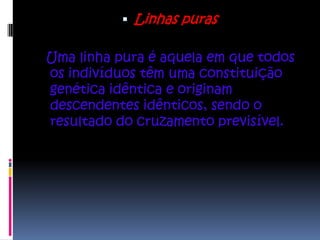  Linhas puras


Uma linha pura é aquela em que todos
os indivíduos têm uma constituição
genética idêntica e originam
descendentes idênticos, sendo o
resultado do cruzamento previsível.
 