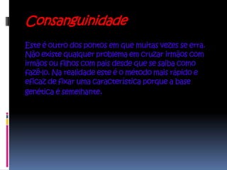 Consanguinidade
Este é outro dos pontos em que muitas vezes se erra.
Não existe qualquer problema em cruzar irmãos com
irmãos ou filhos com pais desde que se saiba como
fazê-lo. Na realidade este é o método mais rápido e
eficaz de fixar uma característica porque a base
genética é semelhante.
 