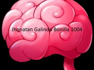 Jhonatan Galindo Bonilla 1004
 