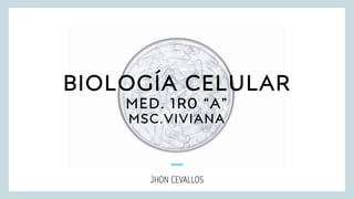 BIOLOGÍA CELULAR
MED. 1R0 “A”
MSC.VIVIANA
JHON CEVALLOS
 
