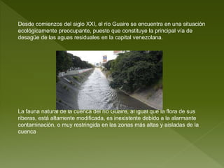 Desde comienzos del siglo XXI, el río Guaire se encuentra en una situación
ecológicamente preocupante, puesto que constituye la principal vía de
desagüe de las aguas residuales en la capital venezolana.
La fauna natural de la cuenca del río Guaire, al igual que la flora de sus
riberas, está altamente modificada, es inexistente debido a la alarmante
contaminación, o muy restringida en las zonas más altas y aisladas de la
cuenca
 