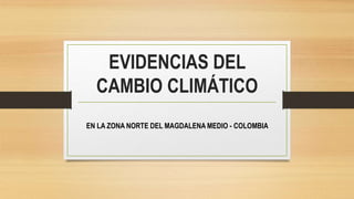 EVIDENCIAS DEL
CAMBIO CLIMÁTICO
EN LA ZONA NORTE DEL MAGDALENA MEDIO - COLOMBIA
 