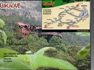 ROQUEDALDOSQUEBRADASCASCADASSan  antonio del tequendamaSantandercitoSoachaLa mesa