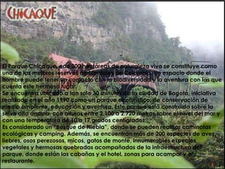 El Parque Chicaque, con 300 hectáreas de naturaleza viva se constituye como una de las mejores reservas ambientales de Colombia. Un espacio donde el hombre puede tener un contacto con la biodiversidad y la aventura con las que cuenta este hermoso lugar.Se encuentra ubicado a tan solo 30 minutos de la ciudad de Bogotá, iniciativa realizada en el año 1990 como un parque ecoturístico, de conservación de medio ambiente, educación y aventura. Este parque está construido sobre la selva alta andina, con alturas entre 2.100 a 2.720 metros sobre el nivel del mar y con una temperatura de 10 a 17 grados centígrados.Es considerado un “Bosque de Niebla”, donde se pueden realizar caminatas ecológicas y camping. Además, se encuentran más de 200 especies de aves, liebres, osos perezosos, micos, gatos de monte, innumerables especies vegetales y hermosas quebradas acompañadas de la infraestructura del parque, donde están las cabañas y el hotel, zonas para acampar y el restaurante.