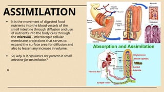 JHS8_DIGESTIVESYSTEM digestive system digestive system | PPTX