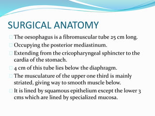 SURGICAL ANATOMY
 The oesophagus is a fibromuscular tube 25 cm long.
 Occupying the posterior mediastinum.
 Extending from the cricopharyngeal sphincter to the
cardia of the stomach.
 4 cm of this tube lies below the diaphragm.
 The musculature of the upper one third is mainly
striated, giving way to smooth muscle below.
 It is lined by squamous epithelium except the lower 3
cms which are lined by specialized mucosa.
 