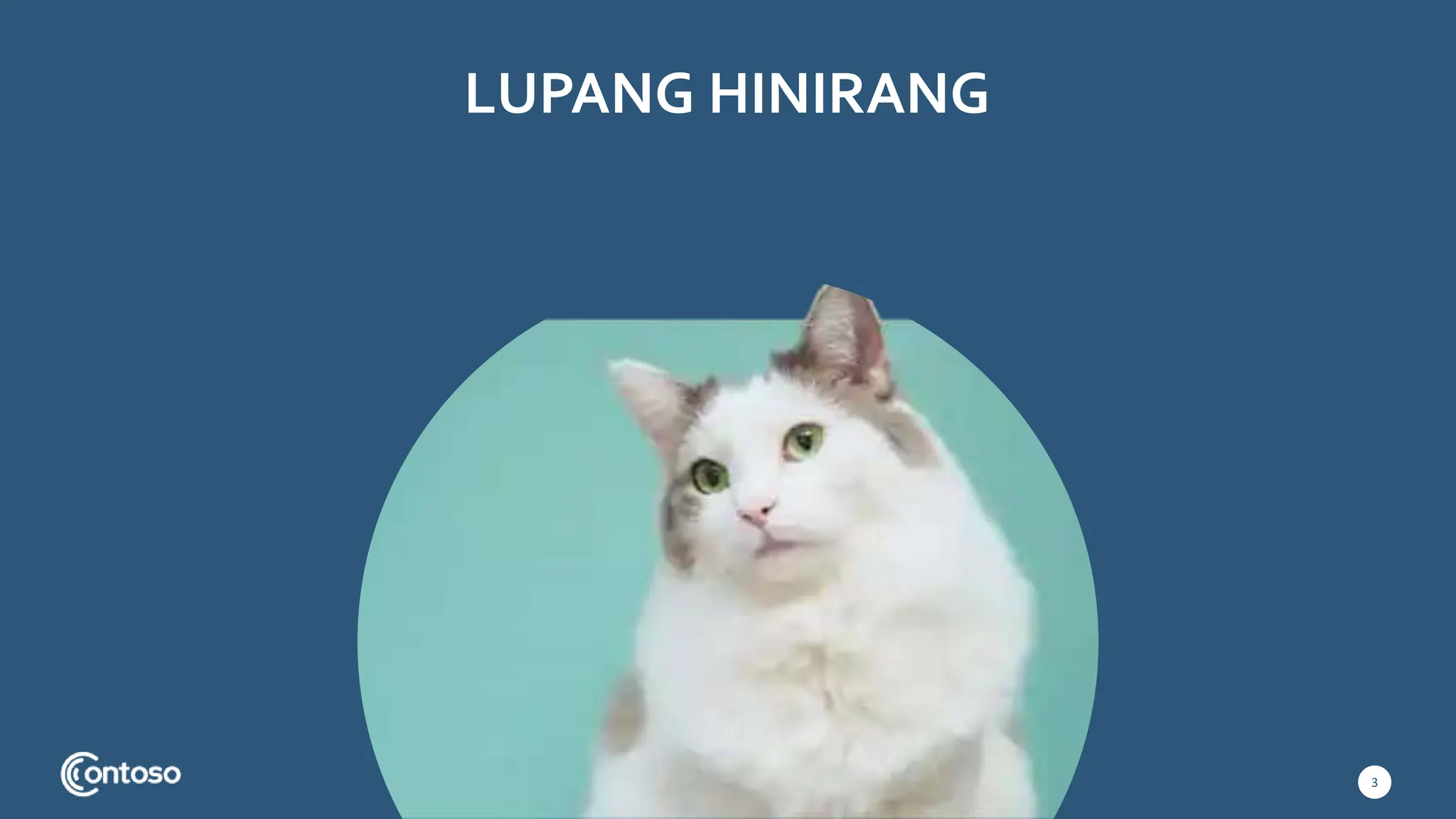 LUPANG HINIRANG
3
 