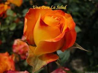 Una Para La Salud 