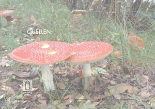 QUELLEN:QUELLEN:
2. SJ Fachaufgabe ID PERSONAL FOODCULTURE -Recherche- WS 2010/11 Juliane Huhn
 