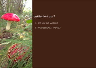 s
: II:WIE funktioniert das?
I : SEIT WANN? WARUM?
II : WER? BEKOMMT WIEVIEL?
 