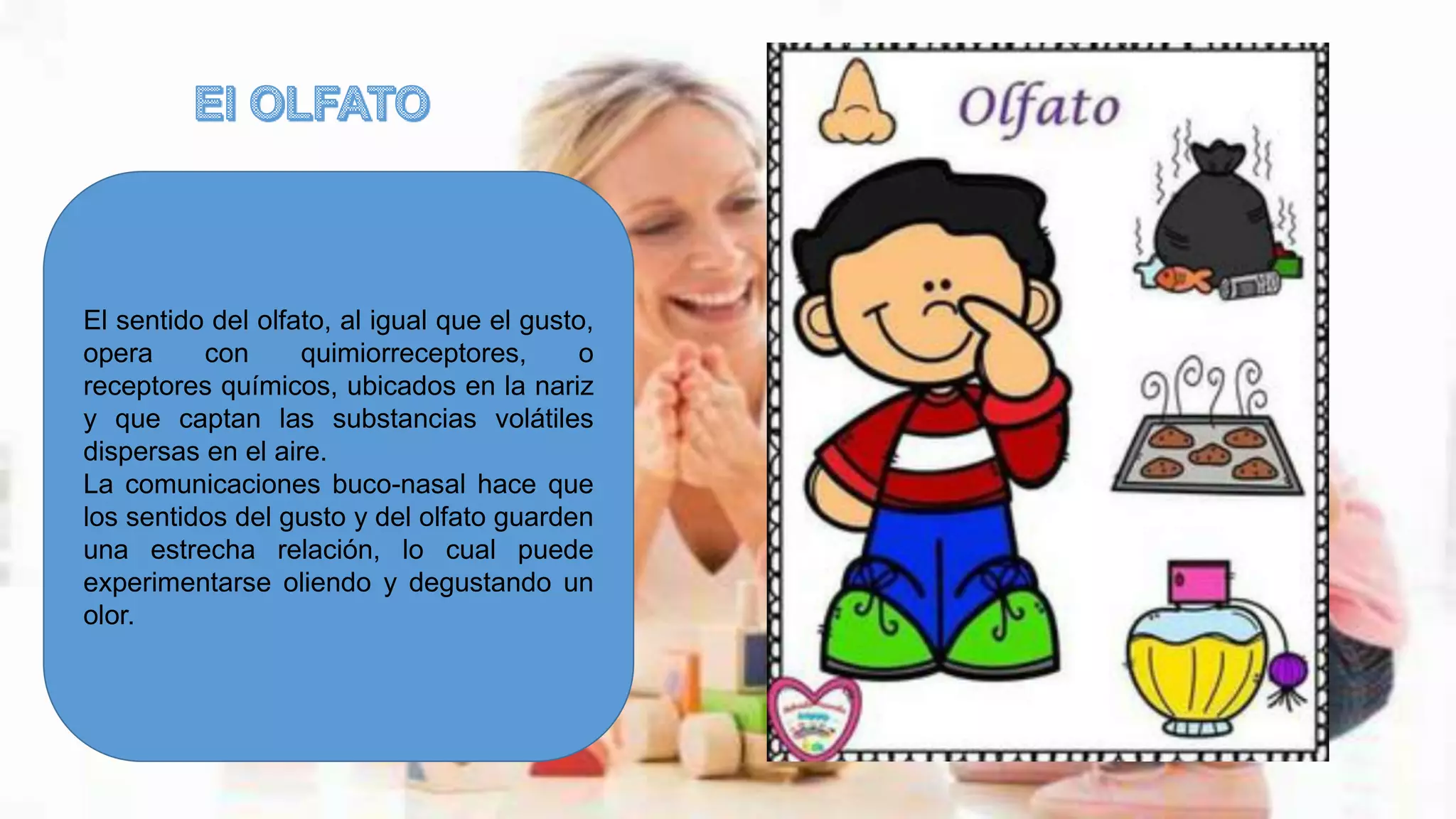 El sentido del olfato, al igual que el gusto,
opera con quimiorreceptores, o
receptores químicos, ubicados en la nariz
y que captan las substancias volátiles
dispersas en el aire.
La comunicaciones buco-nasal hace que
los sentidos del gusto y del olfato guarden
una estrecha relación, lo cual puede
experimentarse oliendo y degustando un
olor.
 
