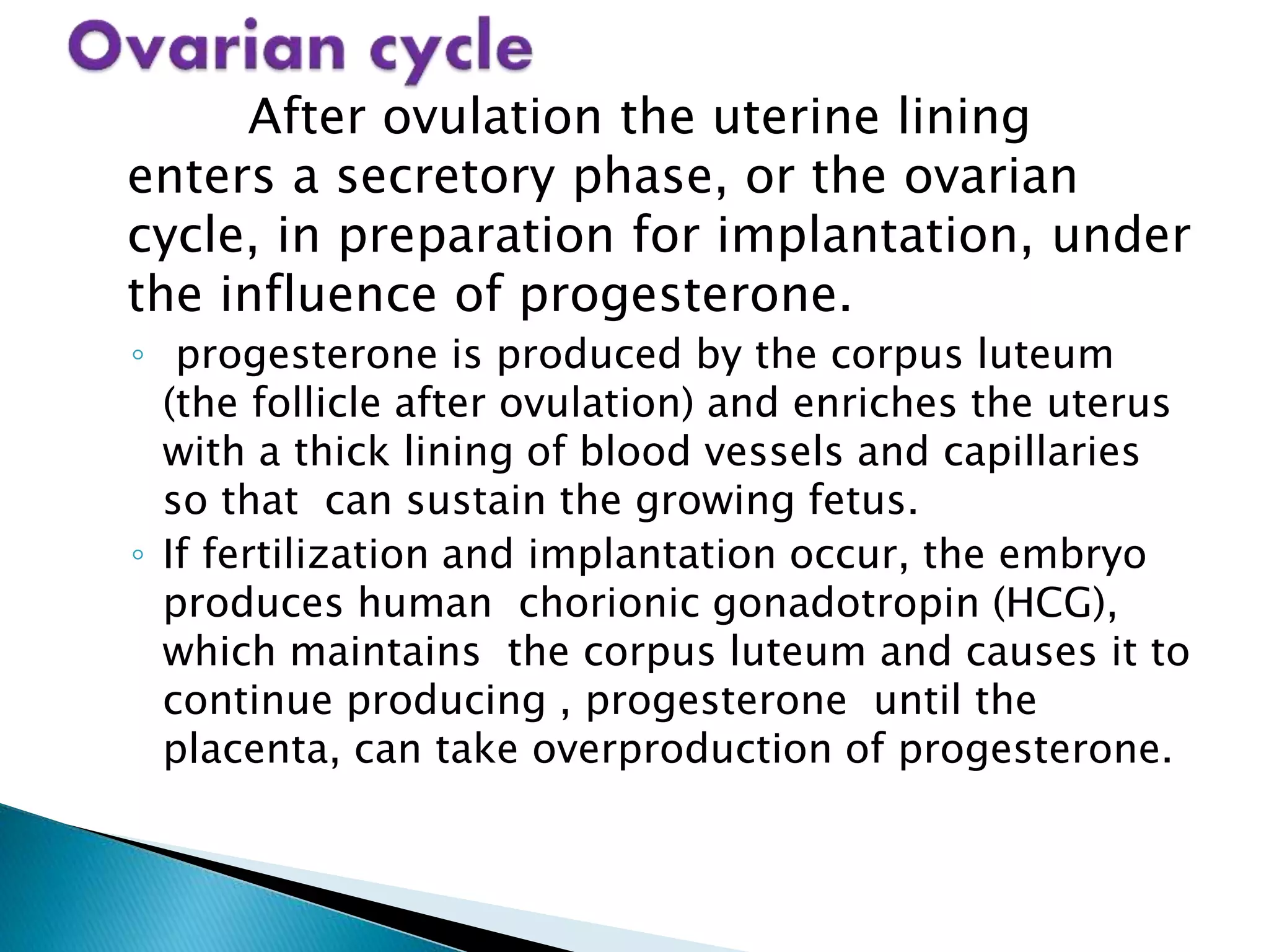  menstrual cycle ppt